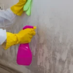Processo técnico de como tirar mofo da parede de forma definitiva sem danificar a pintura